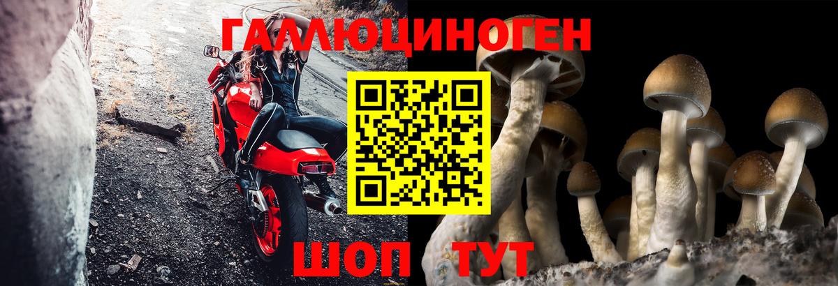 Нефтекумск  Псилоцибиновые грибы мухоморы  Псилоцибиновые грибы ЛСД  Вход с VPN 
